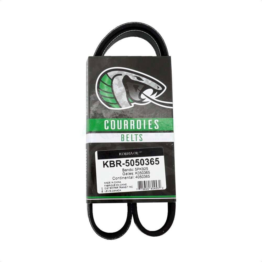 Courroie moteur